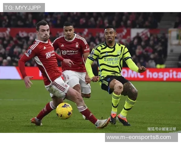 南安普顿足球俱乐部的辉煌历程与未来发展展望